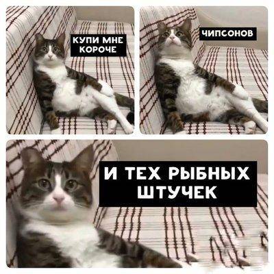 Купи чипсов.jpg