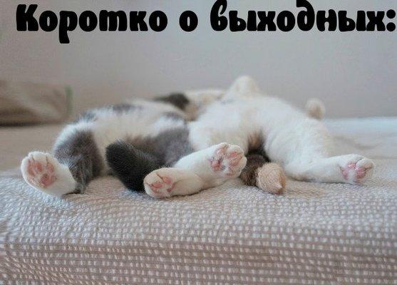 Коротко о выходных.jpeg
