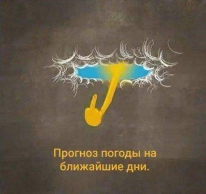 Прогноз погоды.jpg