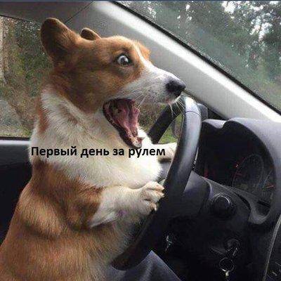 Первый день.jpg