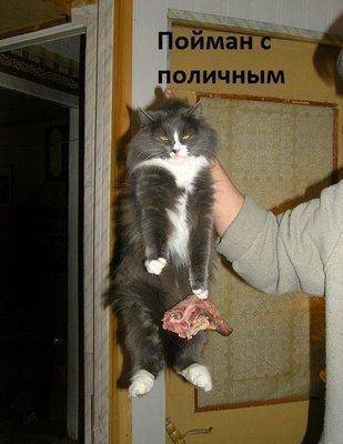 Пойман с поличным.jpg