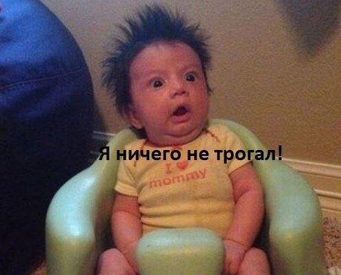 Ничего не трогал.jpg