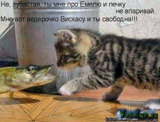 Щука и котёнок.jpg