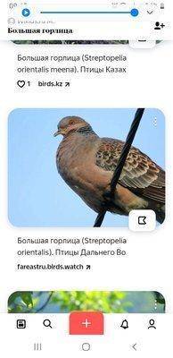 Screenshot_20200711-094519_Samsung Internet.jpg