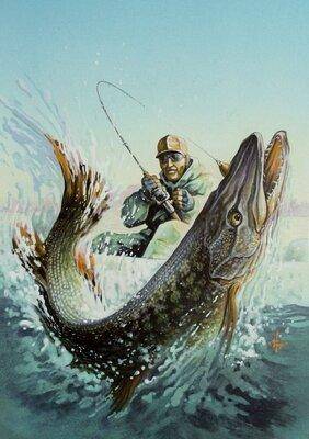 9fe87bb323f15981cd9ca34e06d0f810--pike-fishing-bass-fishing.jpg