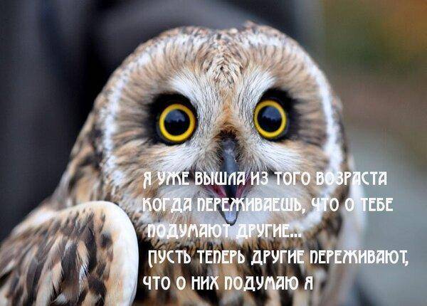 Пусть другие думают.jpg