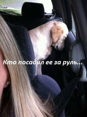 Кто посадил её за руль.jpg