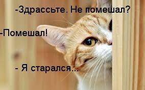 Я старался.jpg