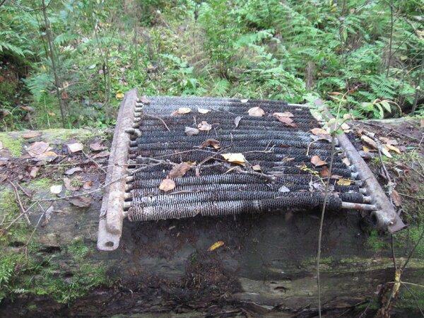 IMG_1021.thumb.JPG.a562e8ac5c190aa1cf851