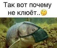 Не клюёт.jpg