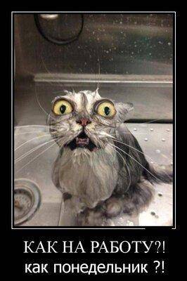 На работу.jpg