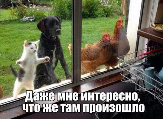 Что произошло.jpeg