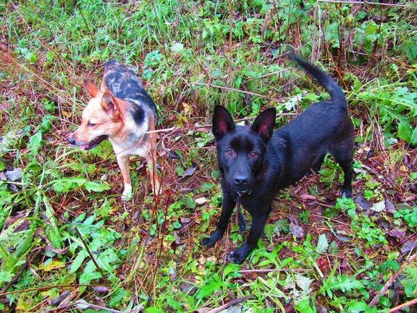 IMG_0165.thumb.JPG.8cb934476245e68112d73