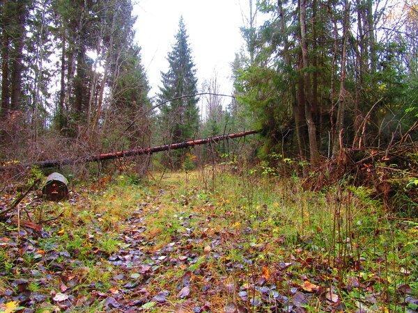 IMG_0169.thumb.JPG.e0c1f546a0099c0a73b5e