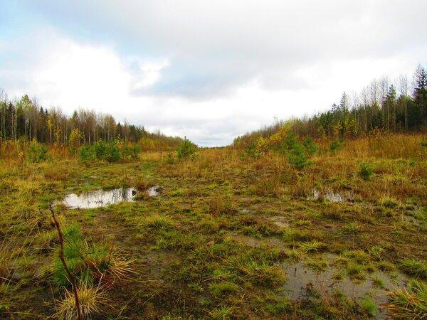 IMG_0170.thumb.JPG.becd4e629cd8291da2450