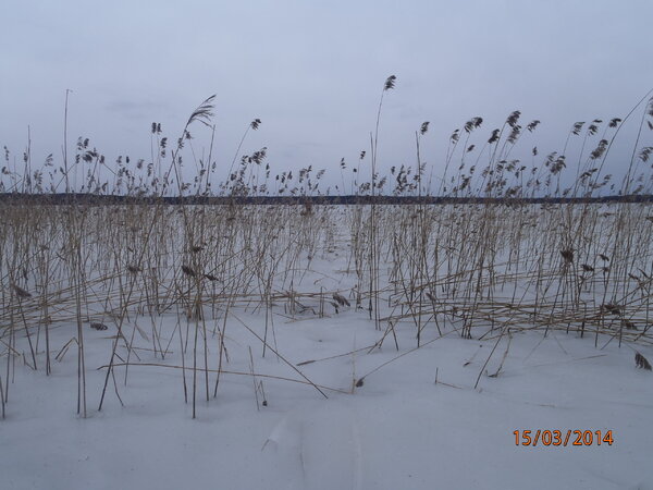 перетно 009.JPG