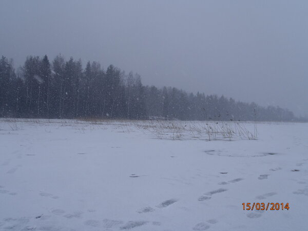 перетно 041.JPG