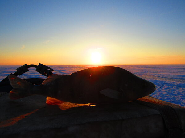 IMG_0405.thumb.JPG.2dda8d4aa2f334d46087d