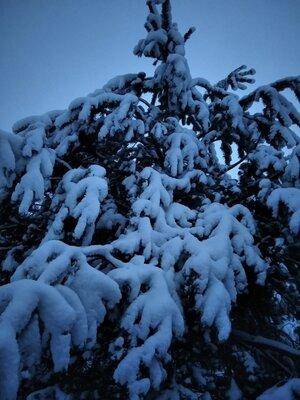 IMG_20210104_084145.thumb.jpg.7d01119fbb