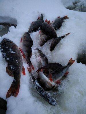 IMG_20210104_162040.thumb.jpg.af5cfbfdf2