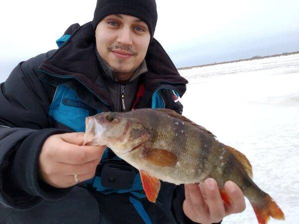 QVdWfVr877M.thumb.jpg.cb3cf87a44371502fc