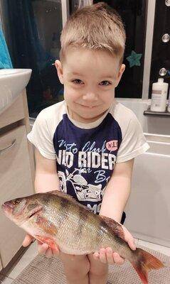 WOnJzUQfZlY.thumb.jpg.3878357f3abd592e26