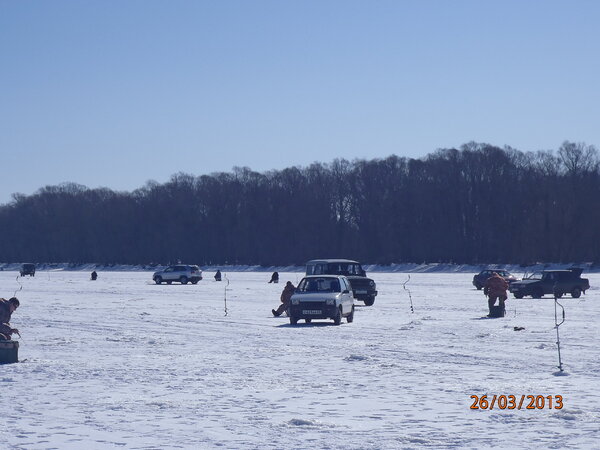 галка окунь щука 014.JPG