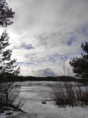 photo_2021-03-04_16-53-18 (2).jpg