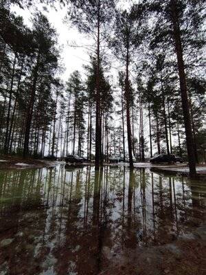 photo_2021-03-04_16-53-20 (3).jpg