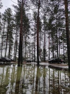 photo_2021-03-04_16-53-20 (2).jpg