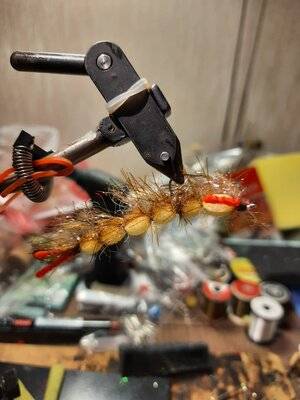 Желтый червяк с длинным коричневым ирокезом.jpg