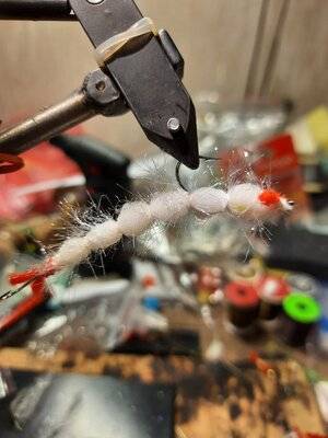 Червяк с ирокезом в белом для Зайчишки.jpg