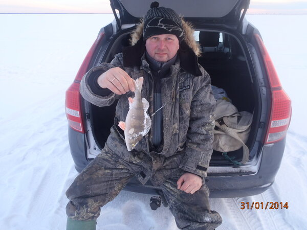 композитор и окинь 006.JPG