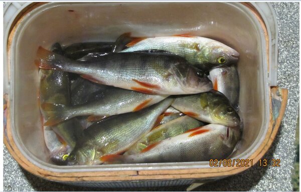 25 шт 215 гр.JPG