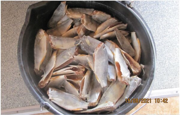 Окунь 180 штук.JPG