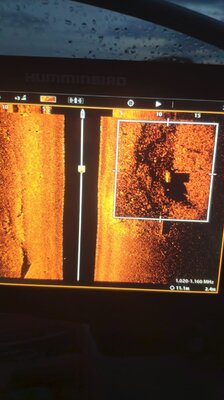 WhatsApp Image 2021-09-01 at 20.12.07.jpeg