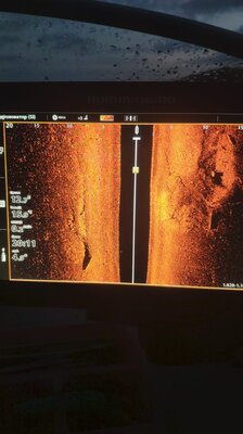 WhatsApp Image 2021-09-01 at 20.11.46.jpeg