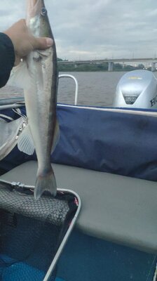 WhatsApp Image 2021-09-01 at 20.06.59.jpeg