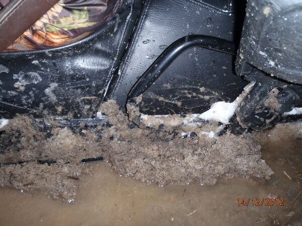 со снежиком в болоте 003.JPG