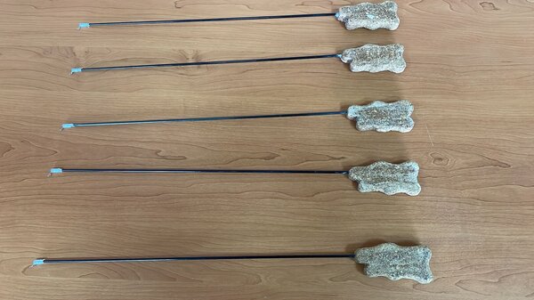 WhatsApp Image 2021-11-09 at 11.34.51.jpeg