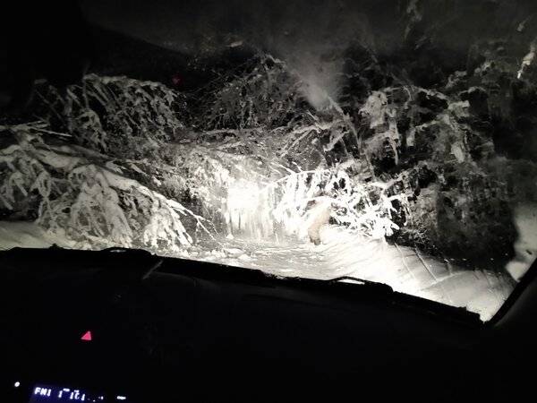 IMG_20220115_080848.jpg