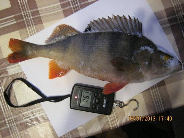 Изображение 002.jpg