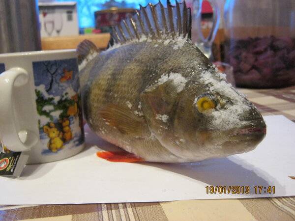 Изображение 004.jpg