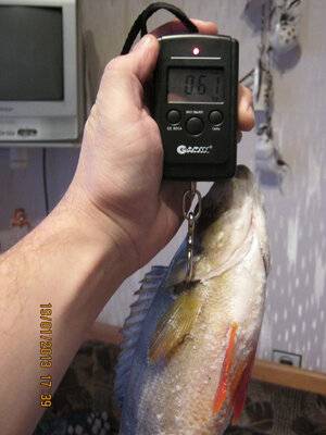 Изображение 001.jpg