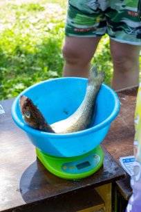 новгородские порыбалки спиннинг 2022-125.jpg