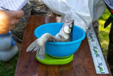 новгородские порыбалки спиннинг 2022-85.jpg