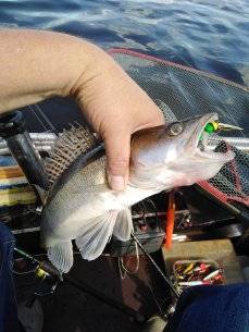 IMG_20210616_104021.jpg
