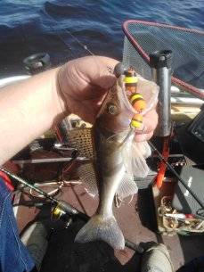 IMG_20210616_112032.jpg