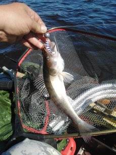 IMG_20210617_105007.jpg