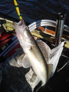 IMG_20210618_090548.jpg